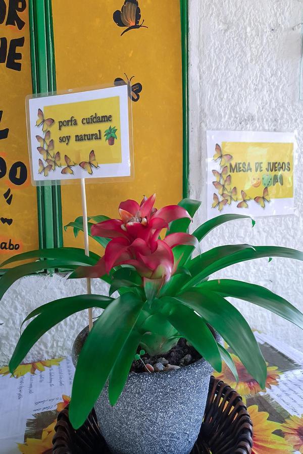Hostal Gabo Bucaramanga Kültér fotó