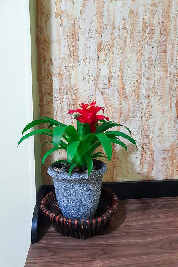 Hostal Gabo Bucaramanga Kültér fotó